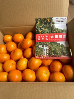 お礼の品の感想画像 1