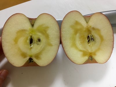 お礼の品の感想画像 1