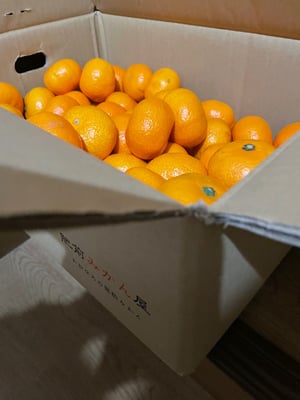 お礼の品の感想画像 2