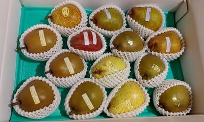 お礼の品の感想画像 1