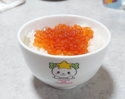 お礼の品の感想画像 1