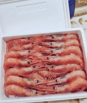 お礼の品の感想画像 1