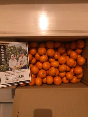 お礼の品の感想画像 1