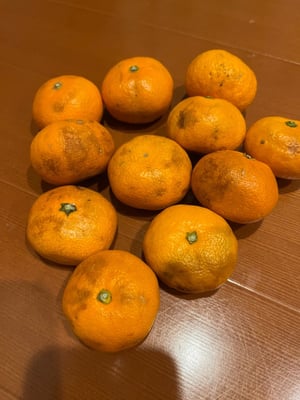 お礼の品の感想画像 1