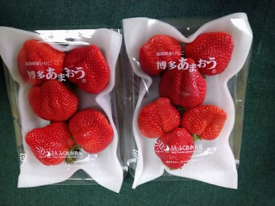 お礼の品の感想画像 1