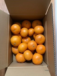 お礼の品の感想画像 1