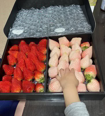 お礼の品の感想画像 1