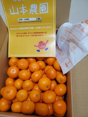 お礼の品の感想画像 1