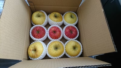 お礼の品の感想画像 1