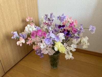 お礼の品の感想画像 2