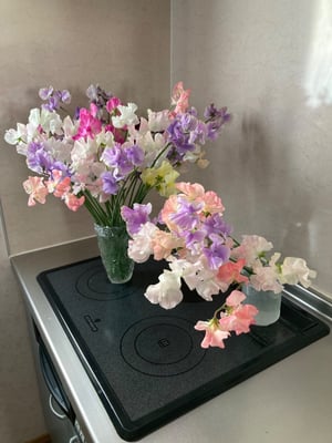 お礼の品の感想画像 3