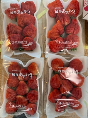 お礼の品の感想画像 1