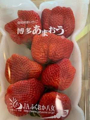 お礼の品の感想画像 2