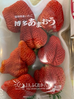 お礼の品の感想画像 3