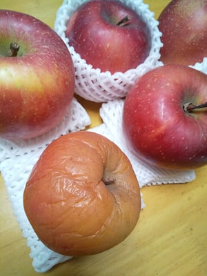 お礼の品の感想画像 1