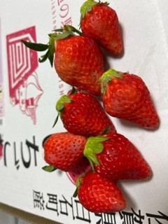 上品な甘さ 白石町産いちご さがほのか 約150g×6パック（計900g
