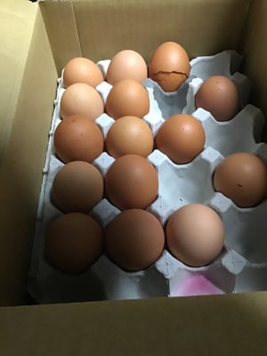 お礼の品の感想画像 1