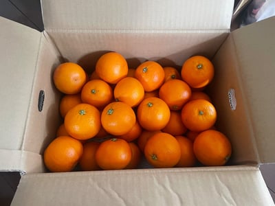 お礼の品の感想画像 1