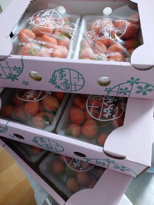 お礼の品の感想画像 1