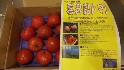 お礼の品の感想画像 1