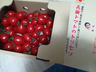 お礼の品の感想画像 1