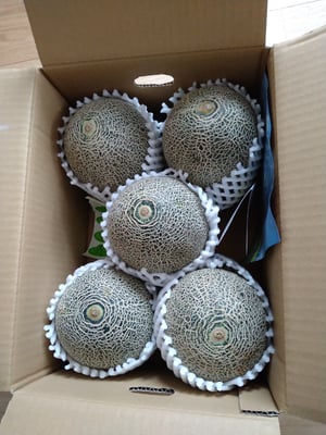 お礼の品の感想画像 1