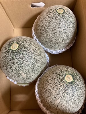 お礼の品の感想画像 1