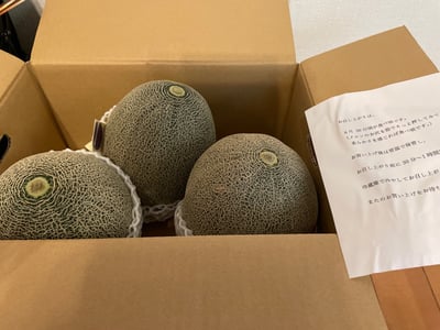 お礼の品の感想画像 1