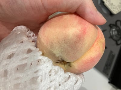 お礼の品の感想画像 2
