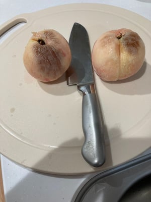 お礼の品の感想画像 3