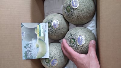 お礼の品の感想画像 1