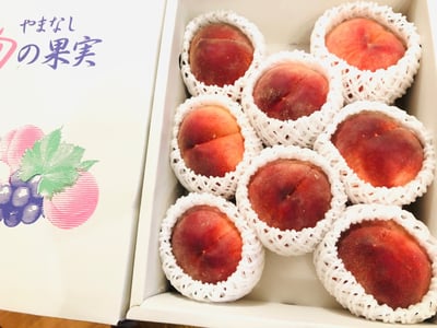 お礼の品の感想画像 1