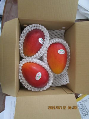 お礼の品の感想画像 3