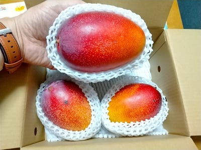 お礼の品の感想画像 1
