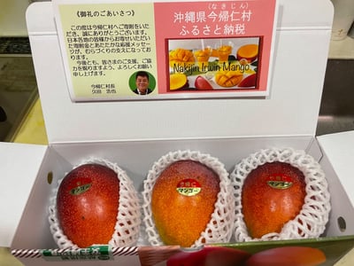 お礼の品の感想画像 1