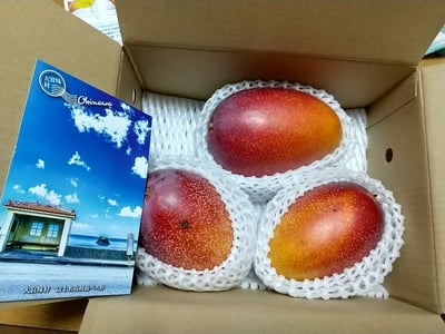 お礼の品の感想画像 2
