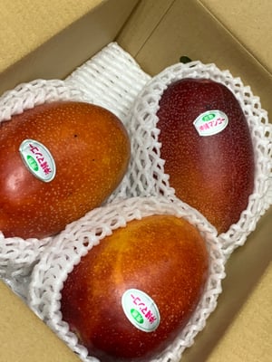 お礼の品の感想画像 1