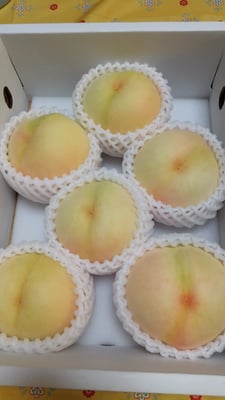 お礼の品の感想画像 1