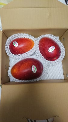 お礼の品の感想画像 1