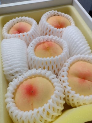 お礼の品の感想画像 1