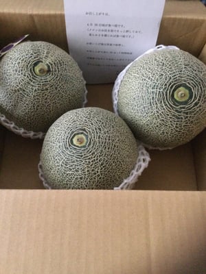 お礼の品の感想画像 1