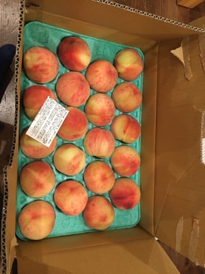 お礼の品の感想画像 1