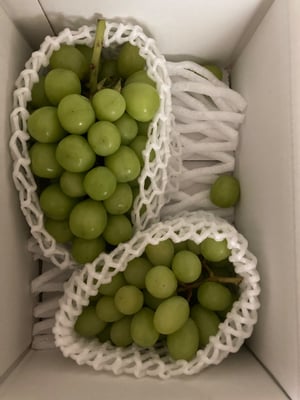 お礼の品の感想画像 1