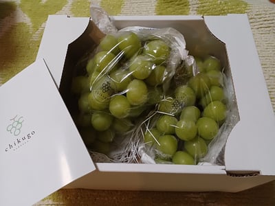 お礼の品の感想画像 1