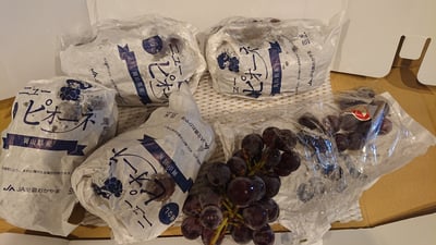 お礼の品の感想画像 1