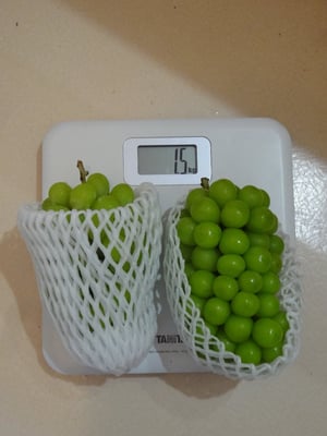 お礼の品の感想画像 1