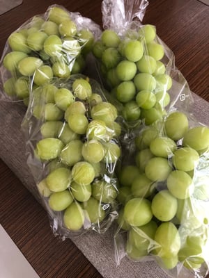 お礼の品の感想画像 2