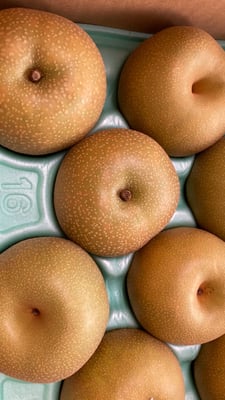 お礼の品の感想画像 1