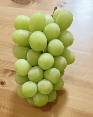 お礼の品の感想画像 1