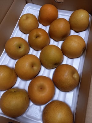 お礼の品の感想画像 1